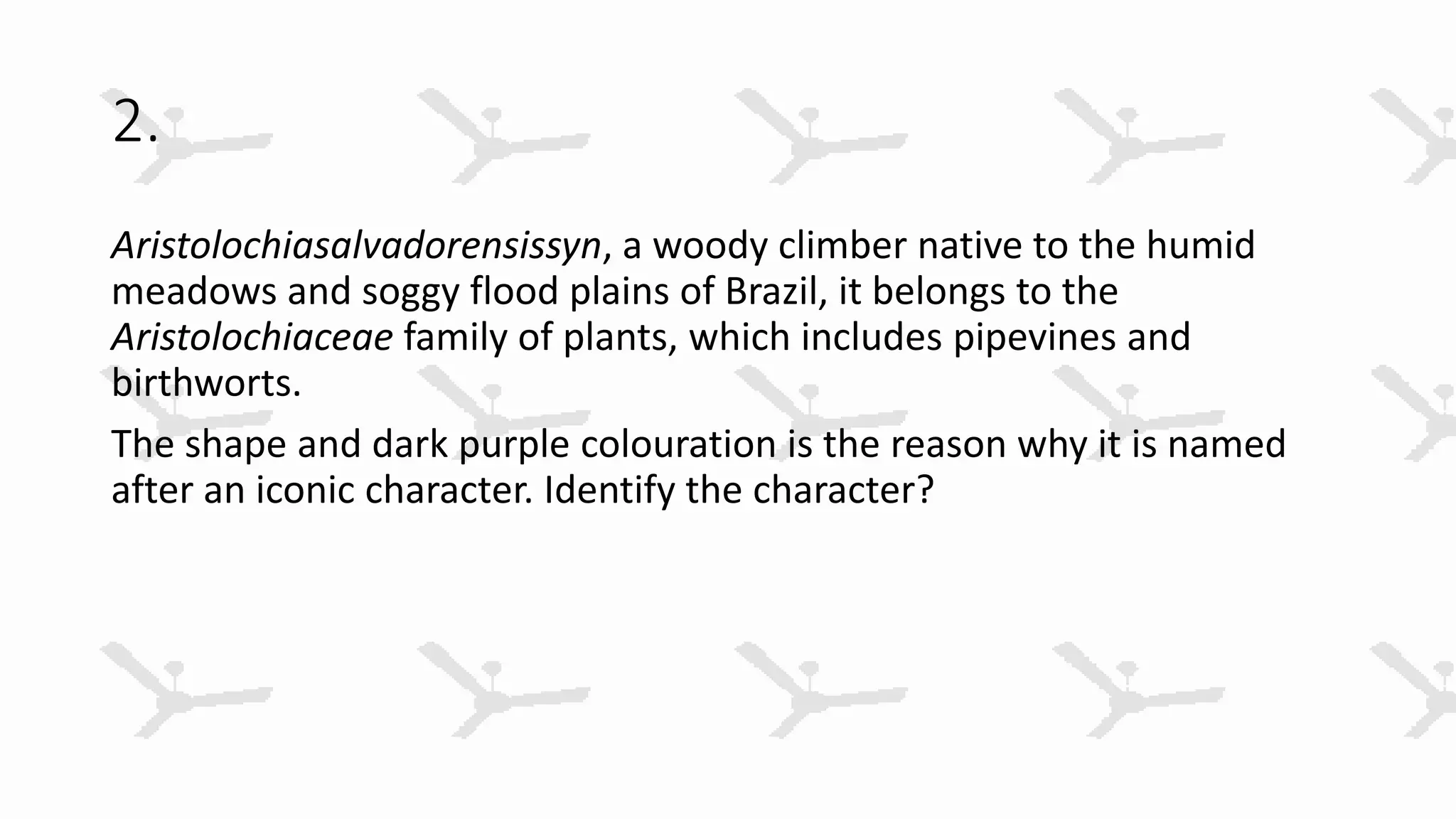 2.
Aristolochiasalvadorensissyn, a woody climber native to the humid
meadows and soggy flood plains of Brazil, it belongs to the
Aristolochiaceae family of plants, which includes pipevines and
birthworts.
The shape and dark purple colouration is the reason why it is named
after an iconic character. Identify the character?
 