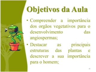 Importância para o homemSão indispensáveis à manutenção do equilíbrio ecológico;Apresentam inúmeras aplicações industriais;São utilizadas na fabricação de produtos farmacológicos;16São muito empregadas na ornamentação;