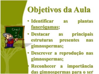 Objetivos da AulaIdentificar as plantas fanerógamas;Destacar as principais estruturas presentes nas gimnospermas;Descrever a reprodução nas gimnospermas;Reconhecer a importância das gimnospermas para o ser humano;2