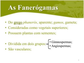 As FanerógamasDo gregophanerós, aparente; gamos, gameta;Consideradas como vegetais superiores;Possuem plantas com sementes;Dividida em dois grupos:São vasculares; Gimnospermas;