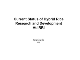 Current Status of Hybrid Rice
Research and Development
At IRRI
Fangming Xie
IRRI
 