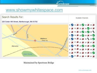 www.showmywhitespace.comMaintained by Spectrum Bridge