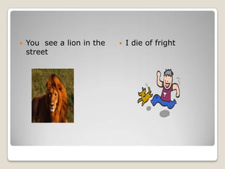 Yousee a lion in thestreetI die of fright