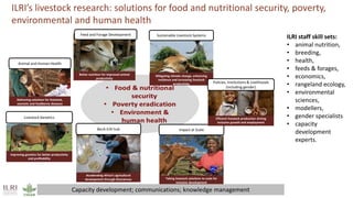 Better lives through livestock: ILRI in SADC Region 