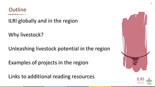 Better lives through livestock: ILRI in SADC Region 