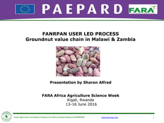 www.fanrpan.orgFood, Agriculture and Natural Resources Policy Analysis Network (FANRPAN) 1
FANRPAN USER LED PROCESS
Groundnut value chain in Malawi & Zambia
Presentation by Sharon Alfred
FARA Africa Agriculture Science Week
Kigali, Rwanda
13-16 June 2016
 