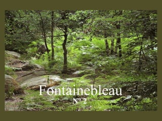 Fontainebleau  Nº 2 