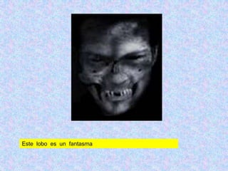 Este lobo es un fantasmae