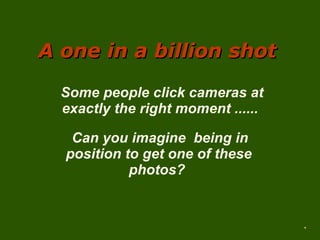 A one in a billion shot Some people click cameras at exactly the right moment ...... Can you imagine  being in position to get one of these photos?  