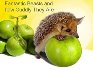 Fantastic Beasts and
how Cuddly They Are
 