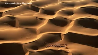 Caravana in dune, Mauritania
 