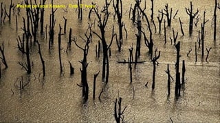 Pescar pe lacul Kossou. Cote D’ Ivore
 