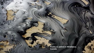 Pustiu cu petrol in Athabasca,
Canada
 