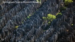 Padurea de piatra Tzinghi-de-Bemaraha in Madagascar
 