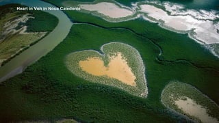 Heart in Voh in Noua Caledonie
 