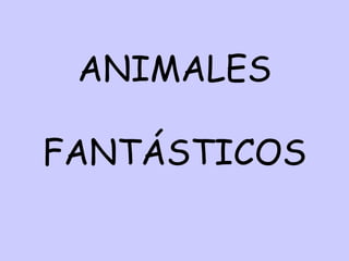 ANIMALES FANTÁSTICOS 