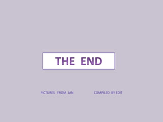 PICTURES  FROM  JAN  COMPILED  BY EDIT 