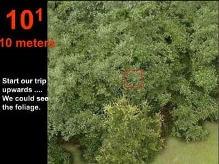 10 1
10 meters

Start our trip
upwards ....
We could see
the foliage.
 