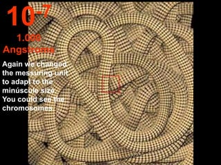 10 -7
  1.000
Angstroms
Again we changed
the messuring unit
to adapt to the
minúscule size.
You could see the
chromosomes.
 