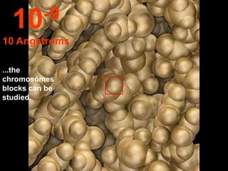 10 -9
10 Angstroms

...the
chromosómes
blocks can be
studied.
 