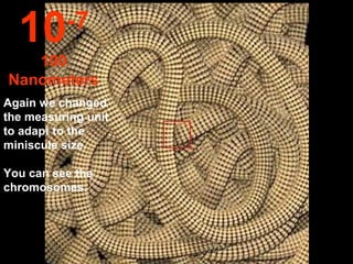 10      -7
   100
Nanometers
Again we changed
the measuring unit
to adapt to the
miniscule size.

You can see the
chromosomes.
 