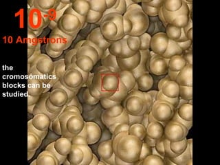 the cromosómatics blocks can be studied. 10 -9 10 Amgstrons 