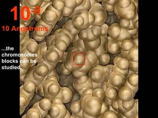 ...the chromosómes blocks can be studied. 10 -9 10 Angstroms 