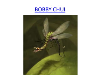 BOBBY CHUI
 
