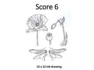 15 x 12 ink drawing
Score 6
 