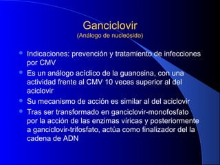 GanciclovirGanciclovir
(Análogo de nucleósido)(Análogo de nucleósido)
 Indicaciones: prevención y tratamiento de infecciones
por CMV
 Es un análogo acíclico de la guanosina, con una
actividad frente al CMV 10 veces superior al del
aciclovir
 Su mecanismo de acción es similar al del aciclovir
 Tras ser transformado en ganciclovir-monofosfato
por la acción de las enzimas víricas y posteriormente
a ganciclovir-trifosfato, actúa como finalizador del la
cadena de ADN
 