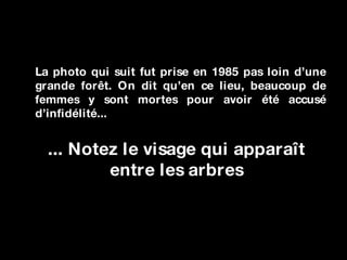 La photo qui suit fut prise en 1985 pas loin d’une grande forêt. On dit qu’en ce lieu, beaucoup de femmes y sont mortes pour avoir été accusé d’infidélité... ... Notez le visage qui apparaît entre les arbres 