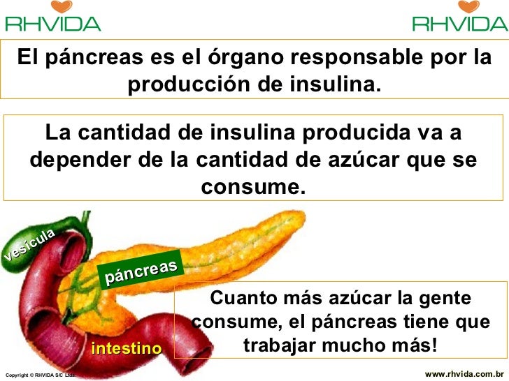 Fantástica explicación de la diabetes Fantástica explicación de la diabetes