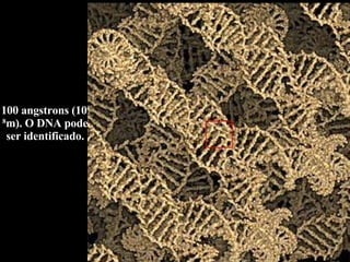 100 angstrons (10 -8 m). O DNA pode ser identificado. 