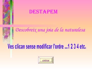 Destapem   entrar Ves clican sense modificar l'ordre ...1 2 3 4 etc. Descobreix una joia de la naturalesa 