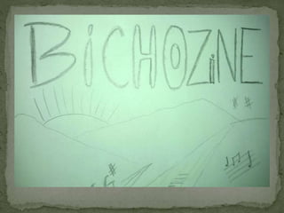 BichoZine
