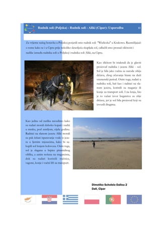 Rudnik soli (Poljska) - Rudnik soli - Aliki (Cipar): Usporedba 13
Dimotiko Scholeio Daliou 2
Dali, Cipar
Za vrijeme našeg boravka u Poljskoj posjetili smo rudnik soli "Wieliczka" u Krakowu. Razmišljajući
o tome kako se i u Cipru prije nekoliko desetljeća skupljala sol, odlučili smo pronaći sličnosti i
razlike između rudnika soli u Poljskoj i rudnika soli Aliki, na Cipru.
Kao sličnost bi istaknuli da je glavni
proizvod rudnika i jezera Aliki - sol.
Sol je bila jako važna za narode obiju
država, zbog očuvanja hrane na duži
vremenski period. Osim toga, rudari u
rudniku soli, baš kao i radnici na sla-
nom jezeru, koristili su magarce ili
konje za transport soli. I na kraju, bio
je to važan izvor bogatstva za obje
države, jer je sol bila proizvod koji su
izvozili drugima.
Kao jednu od razlika navedimo kako
su rudari morali duboko kopati i raditi
u mraku, pod zemljom, cijelu godinu.
Radnici na slanom jezeru Aliki morali
su pak čekati isparavanje vode iz jeze-
ra u ljetnim mjesecima, kako bi sa-
kupili sol krajem kolovoza. Osim toga,
sol je slagana u hrpice piramidnog
oblika, a zatim nošena na magarcima,
dok su rudari koristili tračnice,
vagone, konje i vučni lift za transport.
 