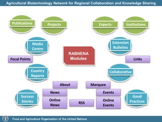 Agricultural Biotechnology Network for Regional Collaboration and Knowledge Sharing 
Publications Projects Experts Institutions 
RABNENA 
Modules 
Focal Points Links 
Country Collaborative 
Reports 
News Events 
Food and Agriculture Organization of the United Nations 
Extension 
Bulletins 
Media 
Centre 
Online 
News 
Online 
Events 
RSS 
Success 
Stories 
Good 
Practices 
About Marquee 
 