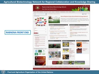 Agricultural Biotechnology Network for Regional Collaboration and Knowledge Sharing 
RABNENA FRONT END 
Food and Agriculture Organization of the United Nations 
 