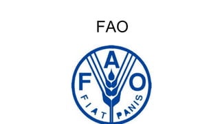 FAO
 
