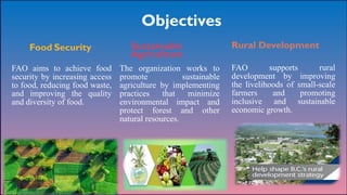 Comprehensive Overview of the Food and Agriculture Organization (FAO ...