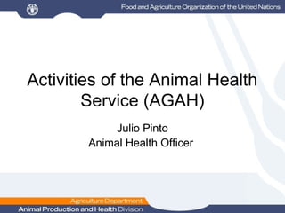Activities of the Animal Health
        Service (AGAH)
             Julio Pinto
        Animal Health Officer
 