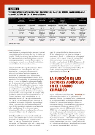 en el escenario socioeconómico, en particular el
crecimiento de los ingresos. En una situación sin
cambio climático, se prevé que en la mayoría de
las regiones disminuya el número de personas
en riesgo de padecer hambre. Estos avances se
ven en parte frenados por el cambio climático,
sobre todo en el África subsahariana.
La vulnerabilidad de las poblaciones del África
subsahariana, así como de partes del Asia
meridional, a la inseguridad alimentaria
derivada del cambio climático también se
desprende de las proyecciones del Programa
Mundial de Alimentos y el Centro Hadley de la
Met Office (Reino Unido). Su trabajo conjunto se
atiene en gran medida a los métodos utilizados
por Krishnamurthy, Lewis y Choularton (2014),
definiendo la vulnerabilidad mediante un índice
compuesto basado en medidas de la exposición,
la sensibilidad y la capacidad de adaptación. Se
formularon previsiones de los futuros niveles de
vulnerabilidad para dos períodos de tiempo: 2050
y 2080. Se examinaron tres hipótesis relativas al
cambio climático: bajas emisiones (RCP 2.6),
emisiones medias (RCP 4.5) y altas emisiones
(RCP 8.5). Las previsiones de cada escenario se
realizaron utilizando 12 modelos diferentes del
clima, cuyo resultado medio se tomó como el
valor de los respectivos indicadores de la sequía
y las inundaciones. Se tuvieron en cuenta
situaciones hipotéticas sin adaptación, así como
con un nivel bajo y alto de adaptación.
En la Figura 10 se muestra la vulnerabilidad
actual y en 2050 en el marco de dos escenarios
diferentes: el más pesimista, con emisiones
altas (RCP 8.5) y sin adaptación, y el más
optimista, con emisiones bajas (RCP 2.6) y altos
niveles de adaptación. Los casos con mayor
  CUADRO 6 
TRES FUENTES PRINCIPALES DE LAS EMISIONES DE GASES DE EFECTO INVERNADERO DE
LA AGRICULTURA EN 2014, POR REGIONES
Clasificación Países en las
regiones
desarrolladas
Asia oriental y
sudoriental
América Latina
y el Caribe
Norte de África
y Asia
Occidental
Oceanía,
excepto
Australia y
Nueva Zelandia
Asia meridional África
subsahariana
1
Fermentación
entérica
(37 %)
Cultivo del
arroz
(26 %)
Fermentación
entérica
(58 %)
Fermentación
entérica
(39 %)
Cultivo de suelos
orgánicos
(59 %)
Fermentación
entérica
(46 %)
Fermentación
entérica
(40 %)
2
Fertilizantes
sintéticos
(17 %)
Fermentación
entérica
(24 %)
Estiércol
dejado en
pastizales
(23 %)
Estiércol
dejado en
pastizales
(32 %)
Fermentación
entérica
(14 %)
Cultivo del
arroz
(15 %)
Estiércol
dejado en
pastizales
(28 %)
3
Gestión del
estiércol
(12 %)
Fertilizantes
sintéticos
(17 %)
Fertilizantes
sintéticos
(6 %)
Fertilizantes
sintéticos
(18 %)
Gestión del
estiércol
(14 %)
Fertilizantes
sintéticos
(15 %)
Quema de
la sabana
(21 %)
FUENTE: FAO, 2016d.
nivel de vulnerabilidad se dan en zonas del
África subsahariana y el Asia meridional y
sudoriental, donde es probable que millones de
personas sufran mayor riesgo de inseguridad
alimentaria como consecuencia del cambio
climático para la década de 2050. El aumento de
la vulnerabilidad es enorme en la hipótesis más
pesimista. Por el contrario, en el caso más
optimista, esta se reduce en gran medida y, de
hecho, en algunos países alcanza niveles
inferiores a los actuales. n
LA FUNCIÓN DE LOS
SECTORES AGRÍCOLAS
EN EL CAMBIO
CLIMÁTICO
Según las estimaciones de la FAO (Cuadro 5), las
emisiones procedentes de la agricultura, la
actividad forestal y otros usos de la tierra fueron
de 10,6 gigatoneladas (Gt) de equivalente de
dióxido de carbono en el año 2014. El sector
emite tres tipos de gases de efecto invernadero
antropógenos: dióxido de carbono (CO2), el
hidrocarburo metano (CH4) y óxido nitroso
(N2O). Las principales fuentes de tales emisiones
son la deforestación, la fermentación entérica en
el ganado, el estiércol que queda en los campos,
los fertilizantes químicos aplicados y las prácticas
de cultivo del arroz. La deforestación y la erosión
del suelo también han reducido la capacidad del
sector para absorber (es decir, captar) el dióxido
de carbono de la atmósfera. El dióxido de carbono
y el metano suponen el 49 % y el 30 %,
| 45 |
» Viene de la página 42
 