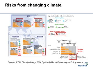 Risks from changing climate
Source: IPCC Climate change 2014 Synthesis Report Summary for Policymakers
Increasi
ng risk
 