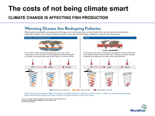 The costs of not being climate smart
CLIMATE CHANGE IS AFFECTING FISH PRODUCTION
 