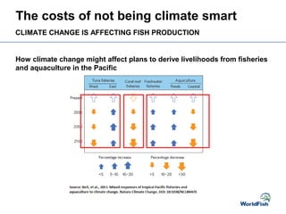 The costs of not being climate smart
How climate change might affect plans to derive livelihoods from fisheries
and aquaculture in the Pacific
CLIMATE CHANGE IS AFFECTING FISH PRODUCTION
 