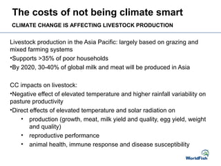 Livestock production in the Asia Pacific: largely based on grazing and
mixed farming systems
•Supports >35% of poor households
•By 2020, 30-40% of global milk and meat will be produced in Asia
CC impacts on livestock:
•Negative effect of elevated temperature and higher rainfall variability on
pasture productivity
•Direct effects of elevated temperature and solar radiation on
• production (growth, meat, milk yield and quality, egg yield, weight
and quality)
• reproductive performance
• animal health, immune response and disease susceptibility
The costs of not being climate smart
CLIMATE CHANGE IS AFFECTING LIVESTOCK PRODUCTION
 