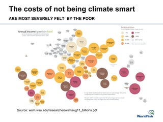 Source: wsm.wsu.edu/researcher/wsmaug11_billions.pdf
The costs of not being climate smart
ARE MOST SEVERELY FELT BY THE POOR
 