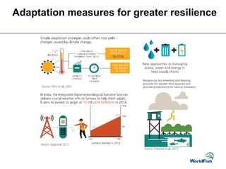 Adaptation measures for greater resilience
 