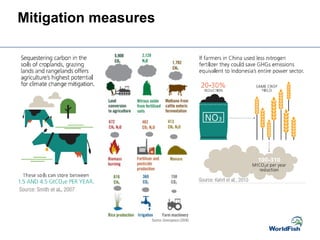 Mitigation measures
 