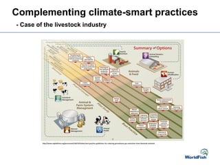 - Case of the livestock industry
Complementing climate-smart practices
 